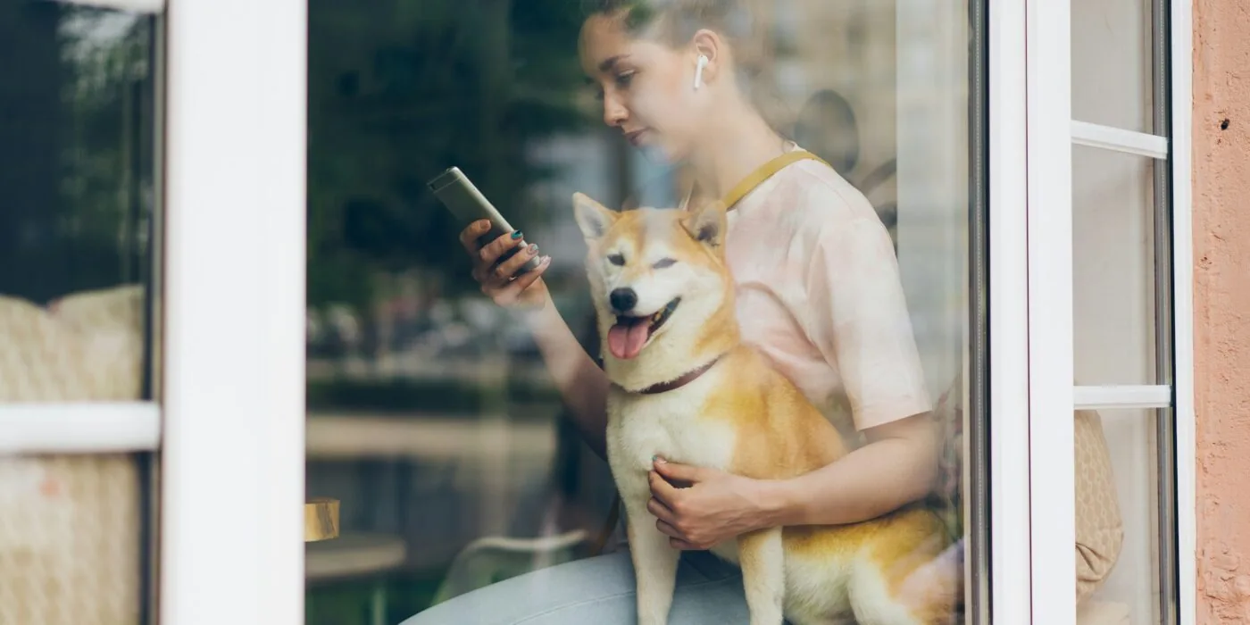 Person reviewing pet subscription service on smartphone while sitting with cat nearby