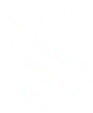 Acelinkarmor logo