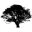Cedarmillfirearms logo