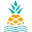 ChubbiesShorts logo