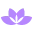 Dermae logo