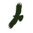 Eagle Creek logo