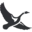Eddie Bauer logo