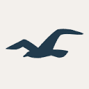 Hollisterco logo