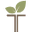 Immunetree logo