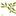 Olive Garden logo