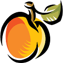 Peachy Airport Parking logo