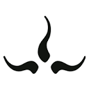 Prana logo