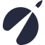 RocketRx logo