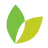 Shaws logo