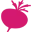 The Maca Team logo