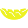 Yellowleafhammocks logo